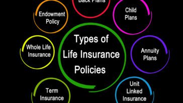 Insurance Policies