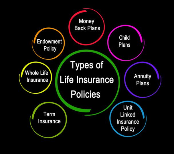 Insurance Policies