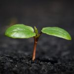 Rising Interest Rates: How They Could Impact Your Savings This Fall