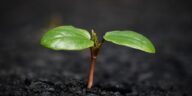 Rising Interest Rates: How They Could Impact Your Savings This Fall