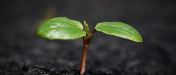 Rising Interest Rates: How They Could Impact Your Savings This Fall