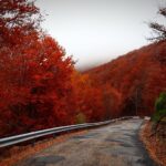 Discover America’s Hidden Gems: 10 Must-Visit Travel Spots for Fall 2023