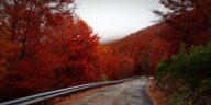 Discover America’s Hidden Gems: 10 Must-Visit Travel Spots for Fall 2023