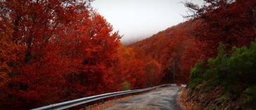 Discover America’s Hidden Gems: 10 Must-Visit Travel Spots for Fall 2023