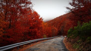 Discover America’s Hidden Gems: 10 Must-Visit Travel Spots for Fall 2023