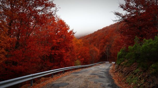 Discover America’s Hidden Gems: 10 Must-Visit Travel Spots for Fall 2023