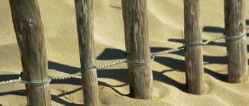 Unlocking Wealth: How Staking is Revolutionizing Passive Income in 2026