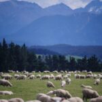 Market Shifts: Key Insights from Today’s Top Technical Analysis Trends
